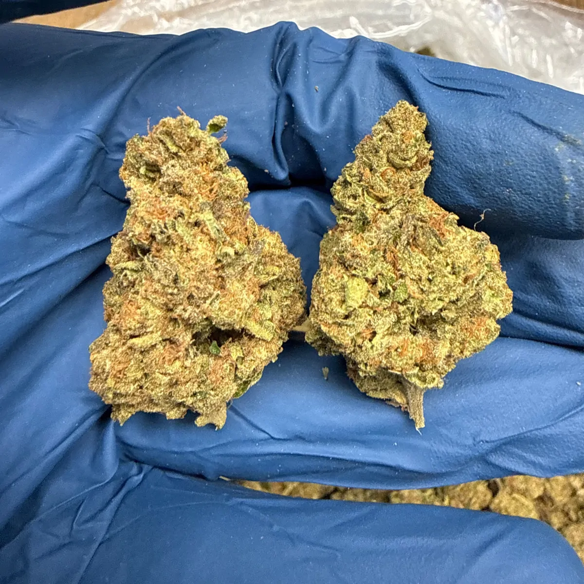 Garlic Budder Flower